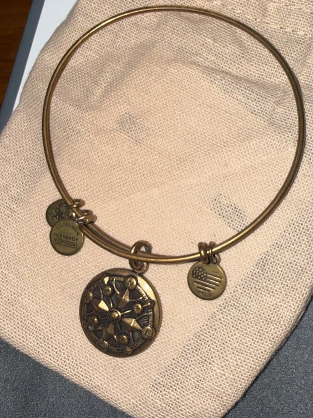 Alex and Ani Gold-Tone Floral Medallion Charm Bangle